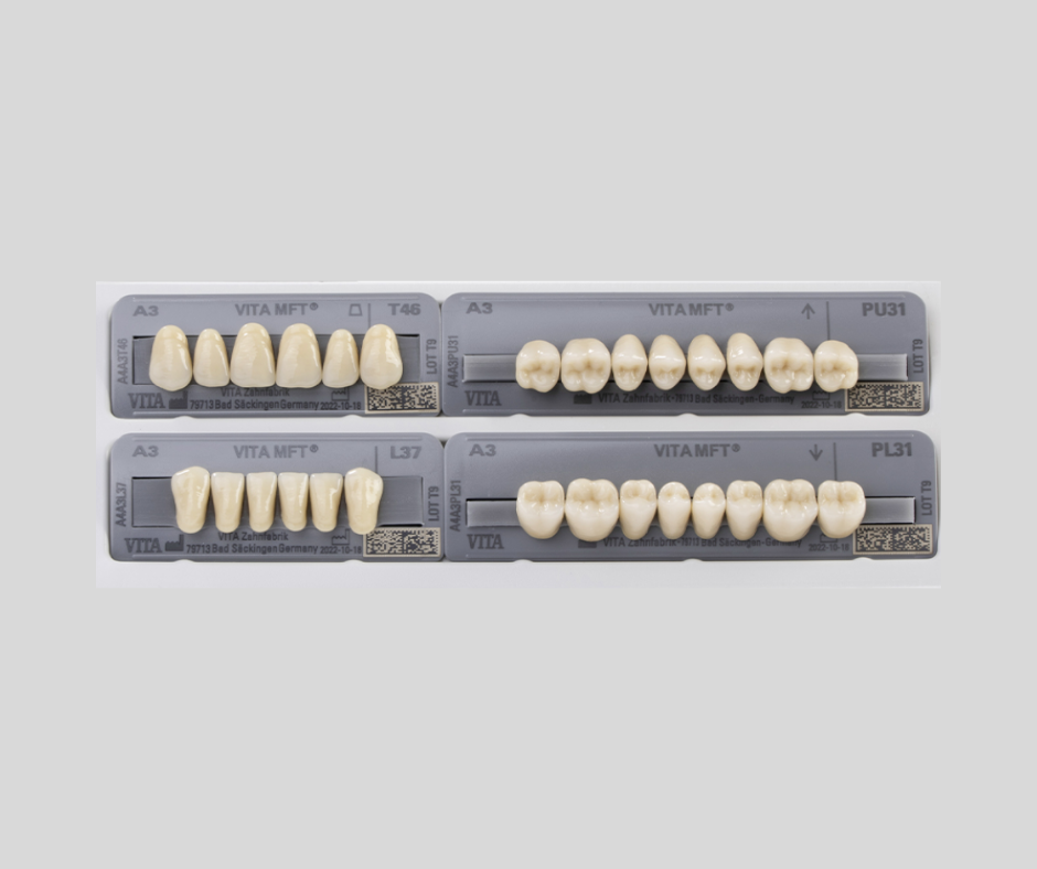 MFT® VITA Classical Posteriores