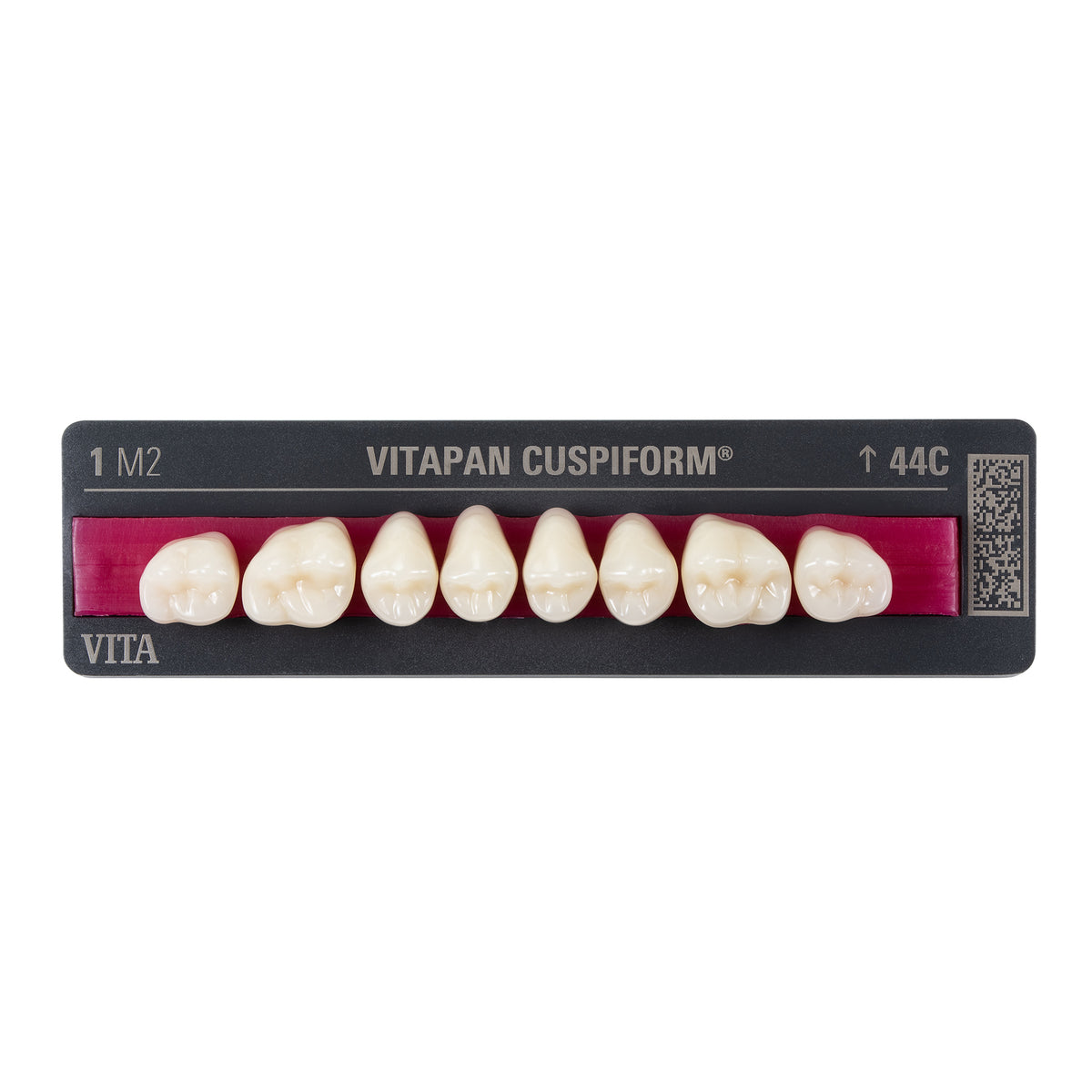 VITAPAN® CUSPIFORM Classical Posteriores
