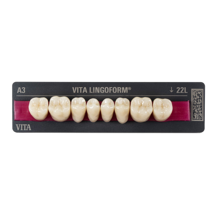 VITAPAN® LINGOFORM Posterior ¡OFERTA! 50 + 20