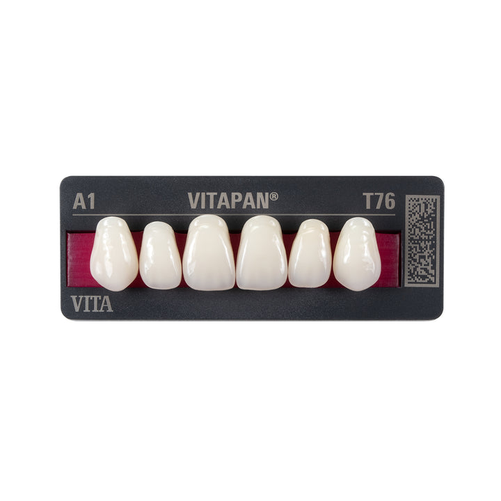 VITAPAN® Classical Anteriores